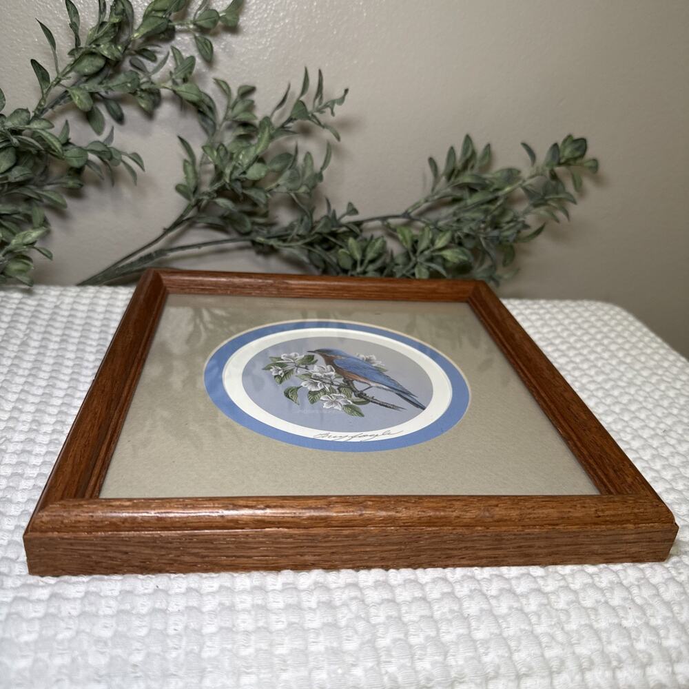 Don Breyfogle Eastern Bluebird Framed Wildlife Print 1988 9.6” x 9.4” Vintage - Picture 6 of 12